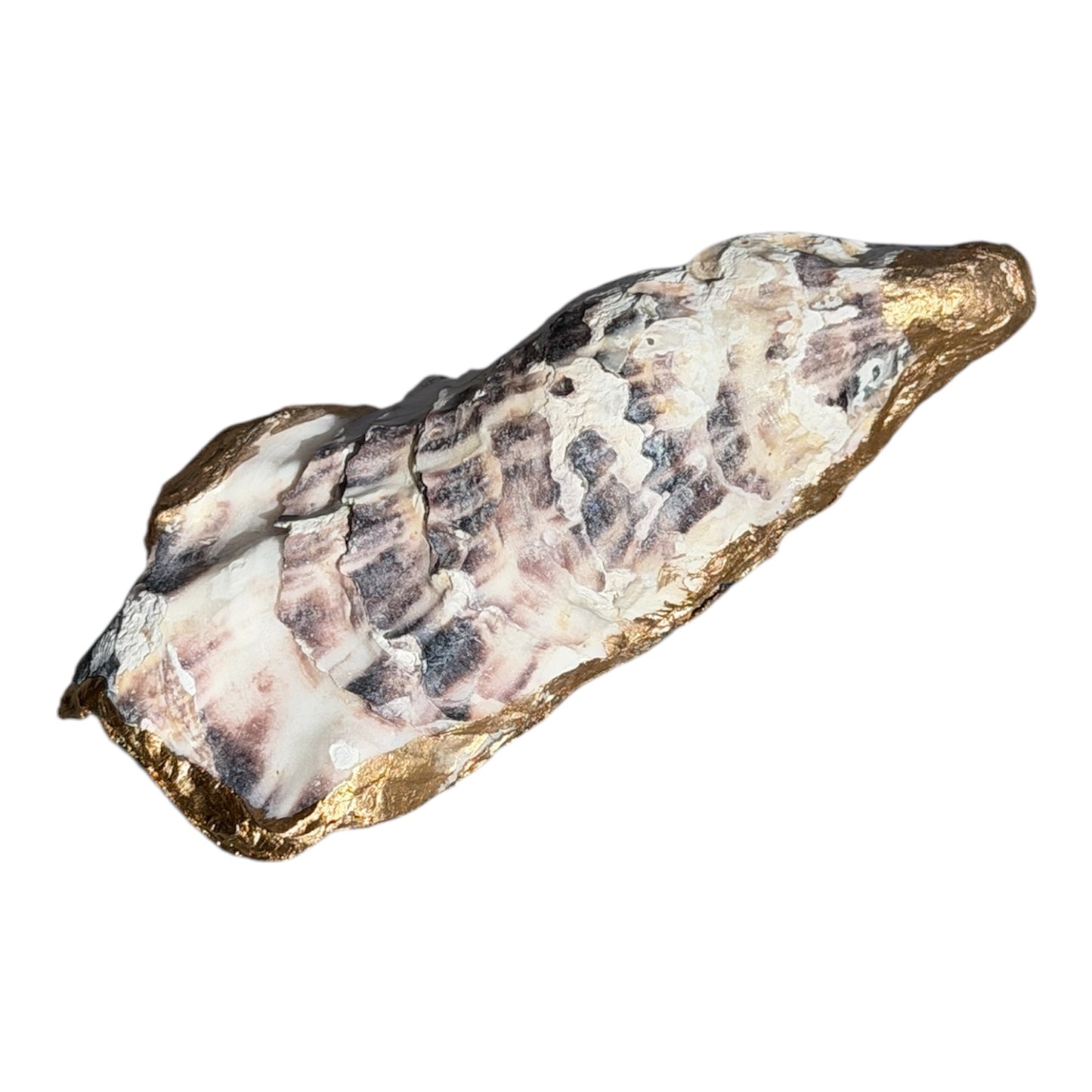 Oyster Shell
