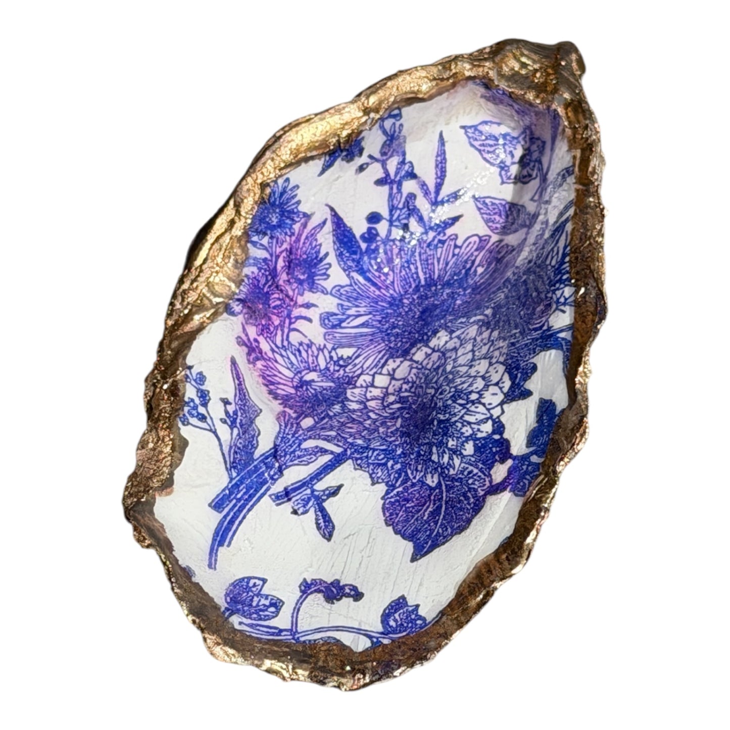 Oyster Shell