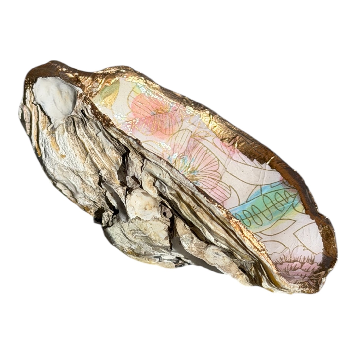Oyster Shell