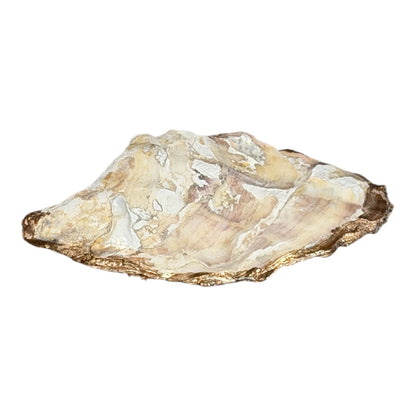 Oyster Shell